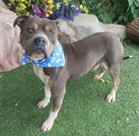 MELVIN - Photo 1
