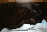 A477967 - Photo 1