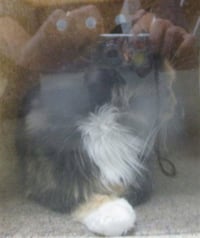 A477961 - Photo 1