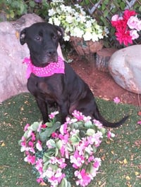 QUEENIE - Photo 1