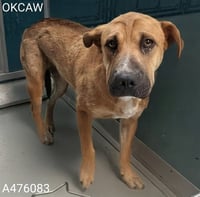BEEZLEE - Photo 1