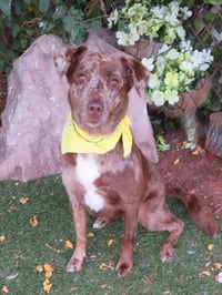 MYLA - Photo 1