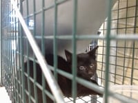 A474459 - Photo 1