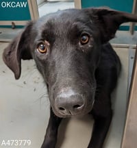 ARLO - Photo 1