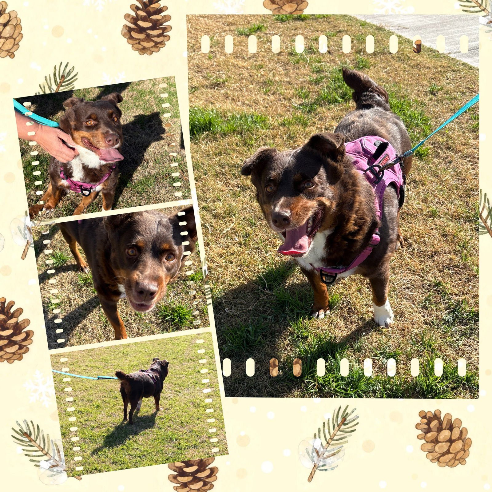 Darling DEBBIE - Photo 3