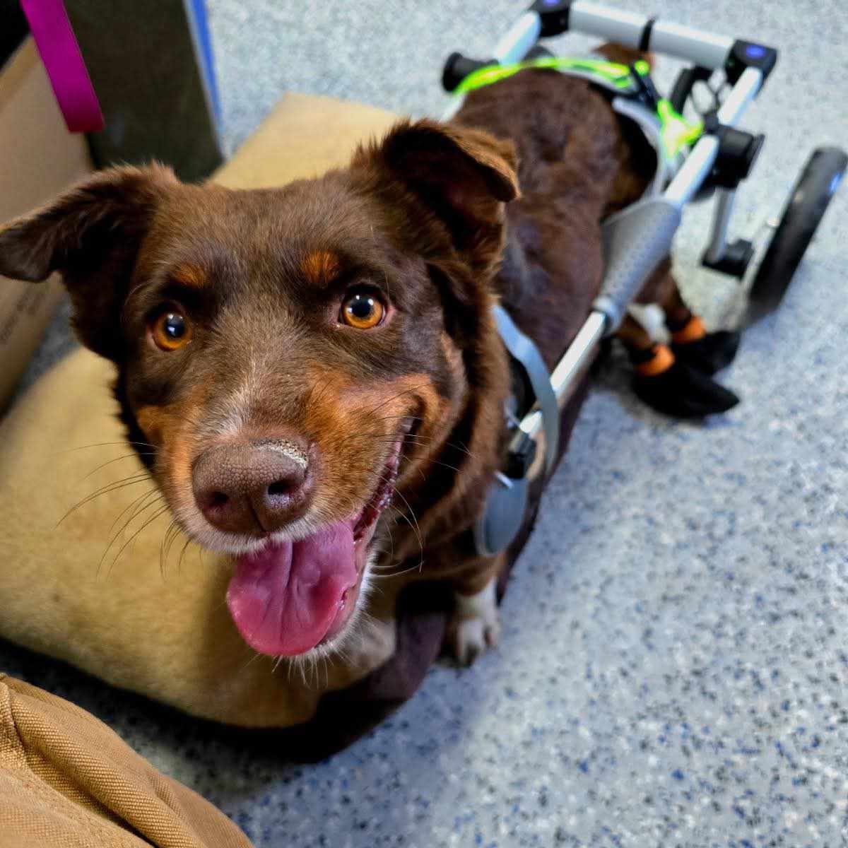 Darling DEBBIE - Photo 4