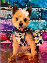 Emberly - Photo 1