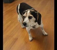 Maddie - Photo 1