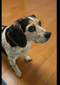 Maddie - Photo 3