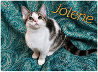 Boots and Jolene - Photo 2