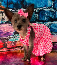 Haley Grace - Photo 5