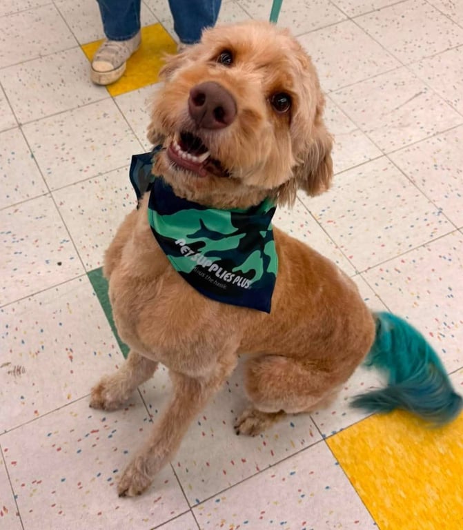 Buddy Image
