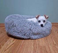Casper - Photo 3