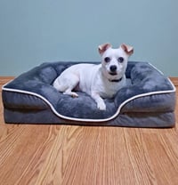 Casper - Photo 5