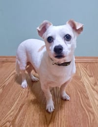 Casper - Photo 2