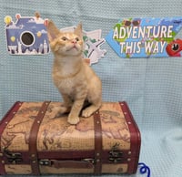 Murr - Photo 3