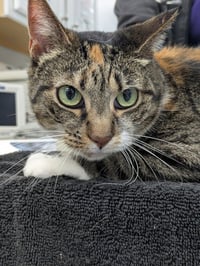 Sally - Photo 1