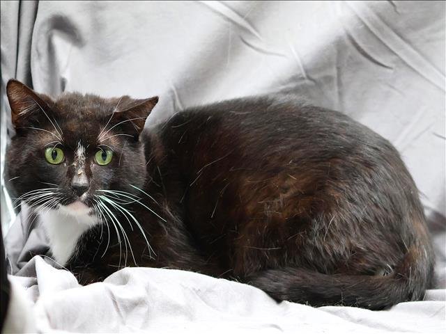 BINX Image