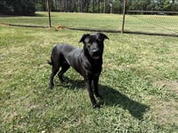 XENA - Photo 1