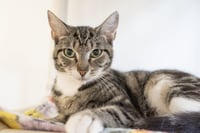 Ethel - Photo 1