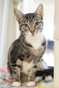 Ethel - Photo 2