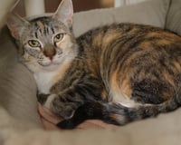 Debbie - Photo 3
