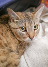 Agnes - Photo 1