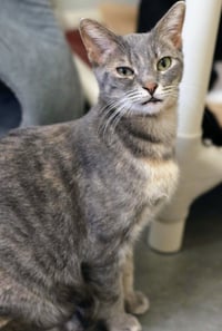 Gretchen - Photo 4