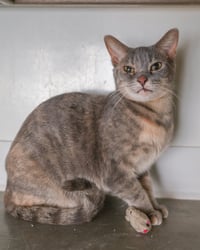 Gretchen - Photo 3