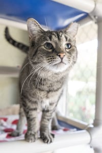 Timmy - Photo 2
