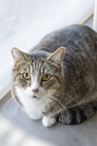Thomas - Photo 4