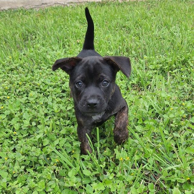 RILEY Image