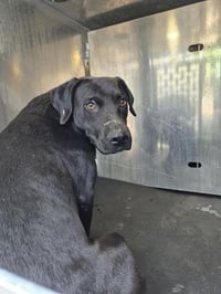 UPUP ANAWAY - Photo 1