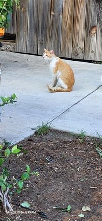 TIMMY - Photo 1