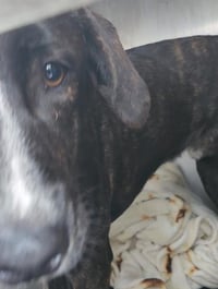 INDEPENDENCE - Photo 1