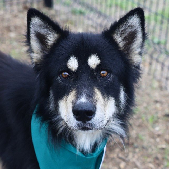 OSO Image