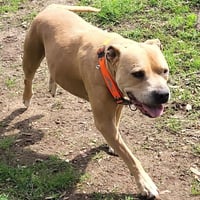 ZEUS - Photo 1