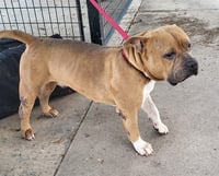 ZEUS - Photo 1