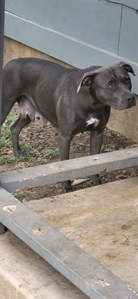 NOVA - Photo 1