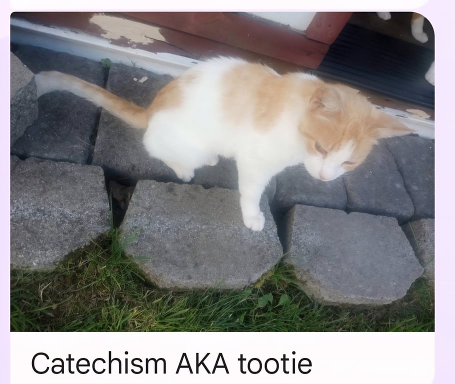 Tootie (Catechism) Image