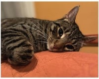 Margo - Photo 1