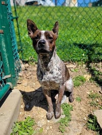 MILLIE - Photo 1