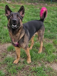 DEACON - Photo 1