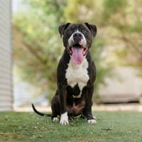 KANE - Photo 1