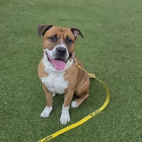 ZEUS - Photo 1