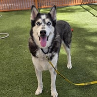 ZEUS - Photo 1