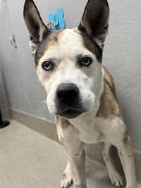 ZEUS - Photo 1
