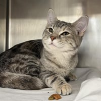 BABY BOOTS - Photo 1