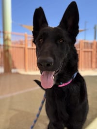 *JENNIFUR PAWRENCE - Photo 1