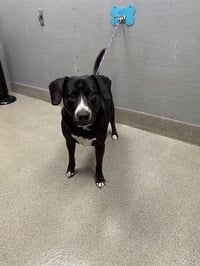 ZEUS - Photo 1